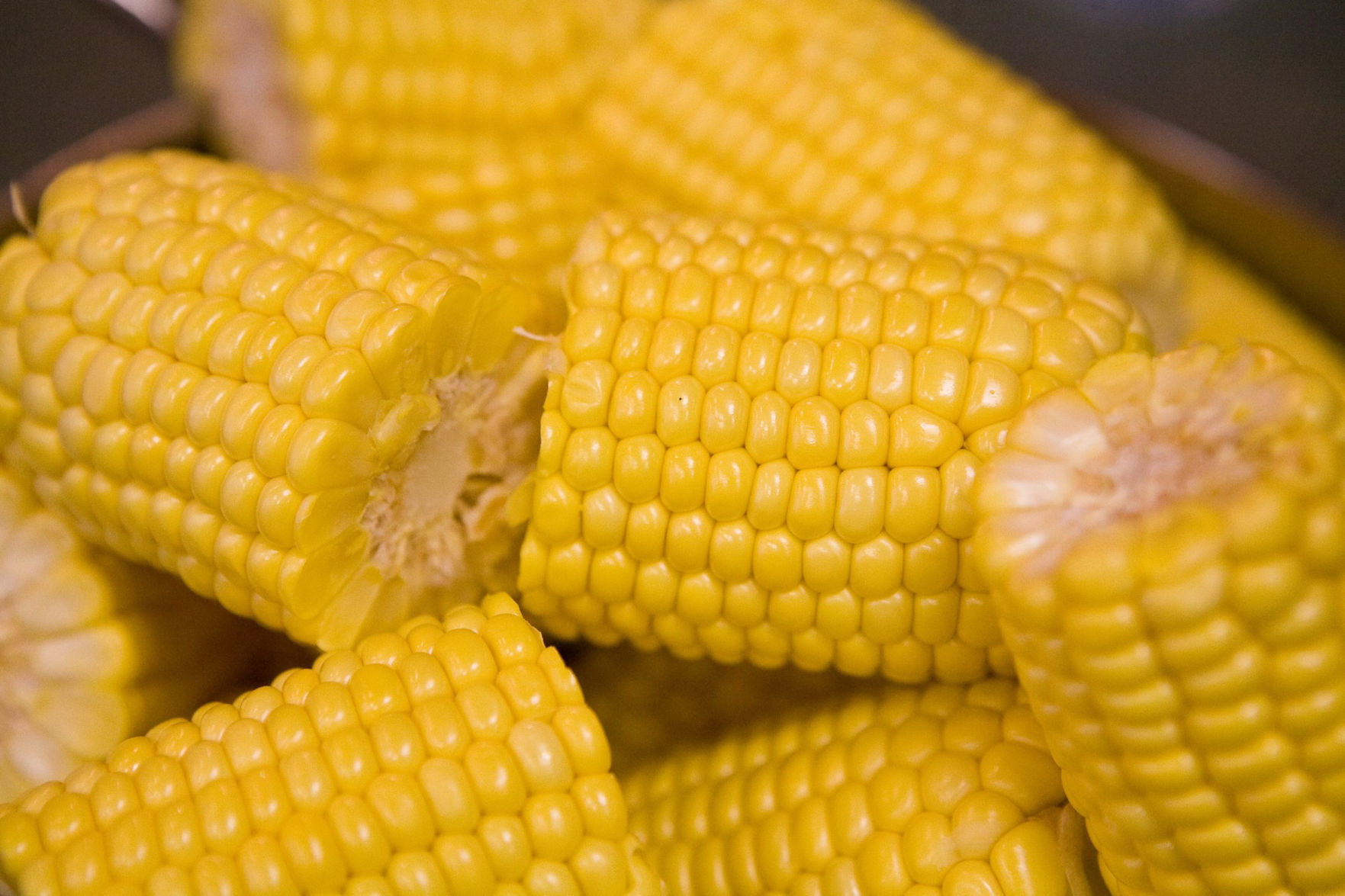 Corn on the cob